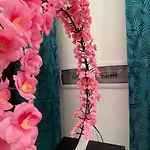 Appartement Dimora Violante