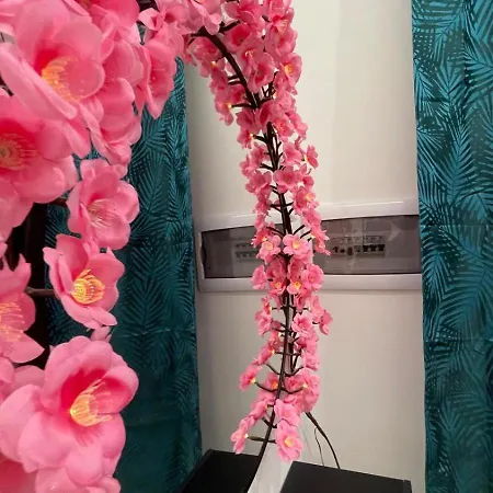 Apartamento Dimora Violante